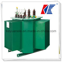 Transformer 220V 50Hz Transformer Oil/Current Transformer